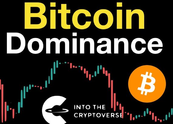 Bitcoin Dominance là gì? Drawdown là gì? Floor price là gì? 