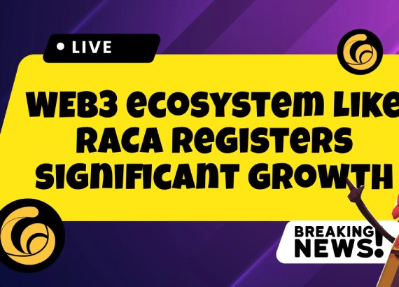 Hệ sinh thái WEB3 như RACA đang ghi nhận mức tăng trưởng đáng kể trong năm 2024