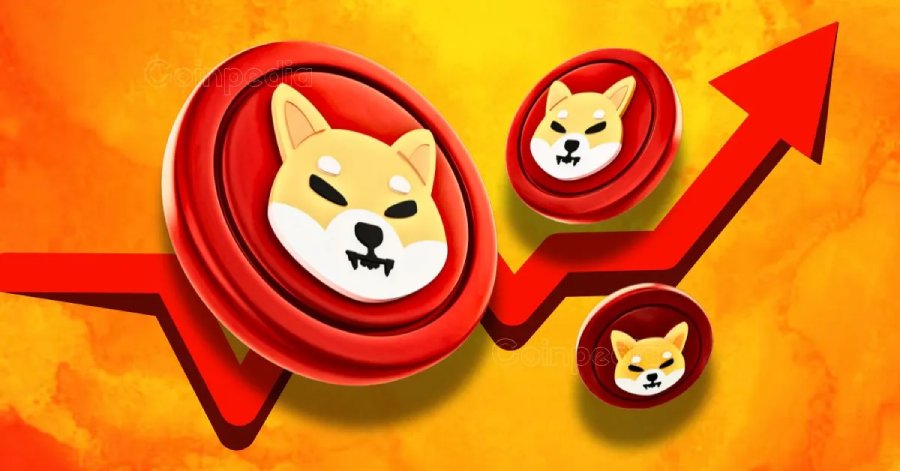 Shiba Inu sắp tăng mạnh? Cá voi vừa chuyển 1,23 nghìn tỷ SHIB