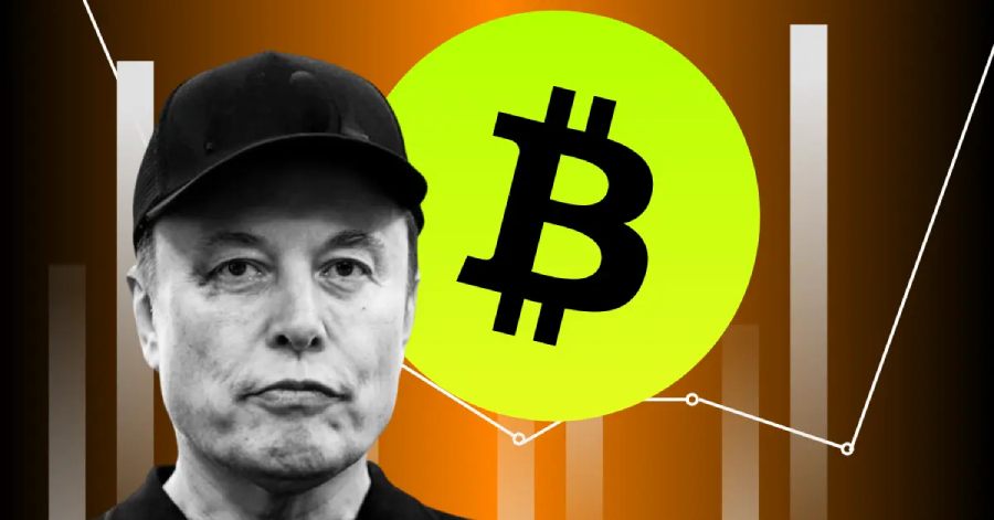 SpaceX chuyển 152 triệu USD Bitcoin – Cá voi đang chốt lời?
