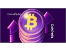 Bitcoin có thể tăng lên 147,000 USD trước khi đón nhận đợt chốt lời lớn?