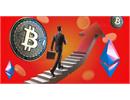Crypto sập giảm  không phải kết thúc: Cách tái cơ cấu danh mục và Phục hồi thua lỗ