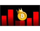 Lượng tìm kiếm Bitcoin giảm xuống mức thấp nhất trong 6 tháng – Dù giá đã vượt 105.000 USD