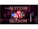 Solana và Sui có thể tăng 20 lần? Chuyên gia nhận định: Giờ là thời của Altcoin