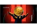 Vì sao giá bitcoin tăng mạnh hôm nay?