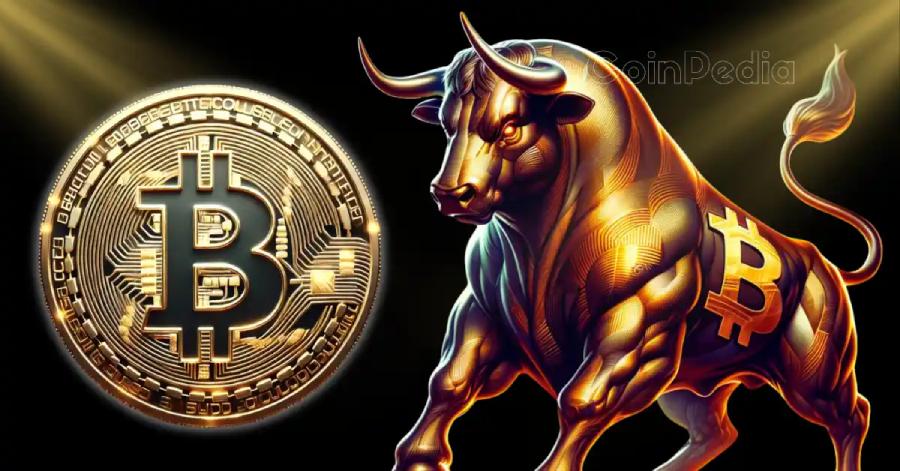 Cá Voi Bitcoin Mua BTC Trị Giá 14,2 Tỷ Đô La Trong Hai Tháng