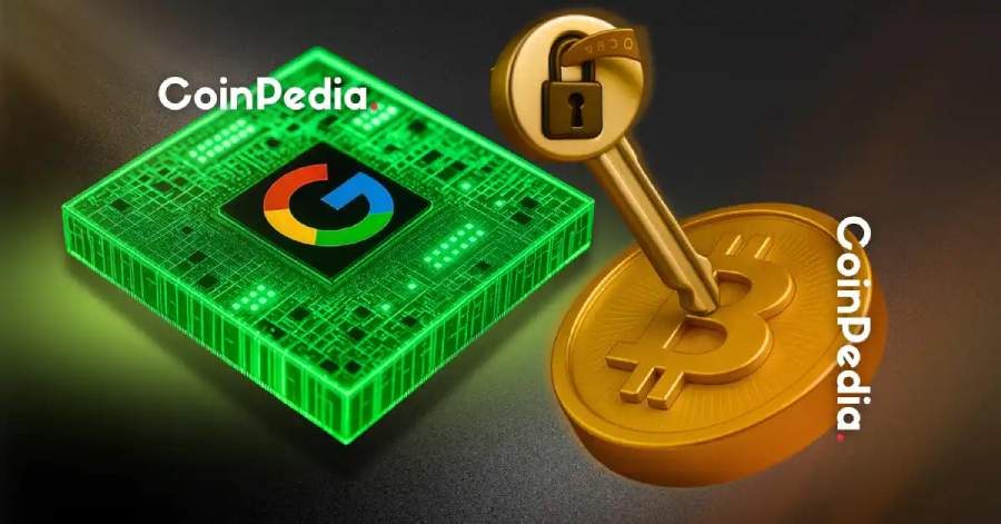Google Play Store siết chặt quản lý ví và sàn giao dịch Crypto trái phép