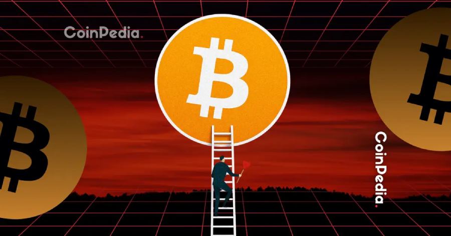 Vì sao Bitcoin vẫn đứng vững khi Altcoin lao dốc?
