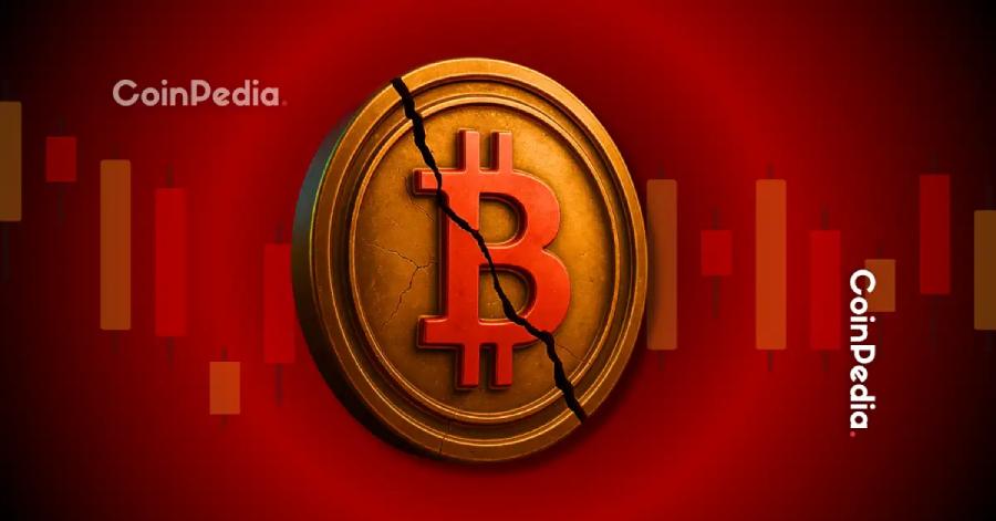 Một “cá voi nội bộ” từng kiếm 192 triệu USD từ cú sập Bitcoin do Trump gây ra vừa quay lại, mở vị thế short 127 triệu USD ngay trước thông báo khẩn của ông Trump. Liệu thị trường crypto sắp đối mặt cú sốc mới?